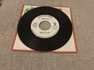 Sharon Scott - Could It Be You - RCA WDJ - Ex