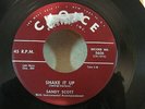 Rockabilly 45 Sandy Scott  
