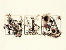 SIA COLOUR THE SMALL ONE [LP] NEW VINYL