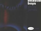Beastie Boys Jimmy James US 12