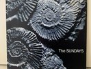 The Sundays - Reading, Writing and Arithmetic vinyl 1st press Rough 148 1990