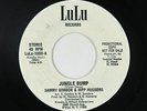 Funk Disco 45 - Sammy Gordon & Hipp Huggers - Jungle Bump - LuLu - VG+ mp3