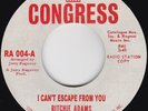Northern Soul--Ritchie Adams--I Can't Escape From You / The 7th Avenue Aviators