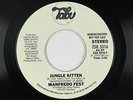 Modern Soul Jazz 45 - Manfredo Fest - Jungle Kitten - Tabu - mp3 - promo