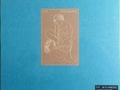 XTC Skylarking 2LP Vinyl and CD BOX SET - NEW/SEALED - OOP