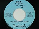 Modern Soul Boogie 45 - Fantastyk - Tell Me All Your Fantasies - Afrilogic - NM