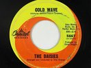 Northern Soul 45 - Daisies - Cold Wave - Capitol - mp3