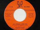 Northern Soul 45 - Perfections - Am I Gonna Lose You - SVR - VG++ mp3