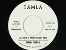 Northern Soul 45 - Tammi Terrell - All I Do - Tamla unofficial - VG++ mp3