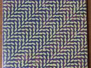 Animal Collective - MERRIWEATHER POST PAVILLION - Vinyl LP - EXCELLENT - Indie