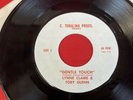 Lynne Claire & Toby Glenn - GENTLE TOUCH - C Tobalina Prods Obscure PSYCH ROCK