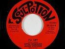 Sweet Soul 45 - Little Wildman James Stephens - I'll Cry - Soul-Po-Tion VG++ mp3