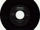 SHILOS - Cause I Love You garage punk surf MA (Norfolk) 1967 *HEAR