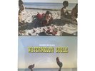 SEALED Harry Styles Watermelon Sugar Limited Red & Black 7” Vinyl NEW