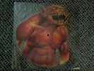 Metallica Shaped Picture Disc, Jump in the Fire Vinyl