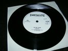 1965 NICO Velvet Underground 7 inch 45 rpm IMMEDIATE MONO I'm Not Sayin' J PAGE