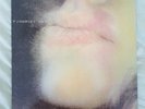 PJ HARVEY - DRY Vinyl LP (ORIGINAL TOO PURE 10)