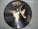 Picture LP Angel Dust Enlighten the Darkness
