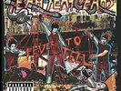 Yeah Yeah Yeahs - Fever To Tell 2018 Vinyl Presale