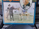 LOS CADETES DE LINARES un viejo amor LP VG+ RAMEX  LP-1071