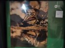 Rino de Filippi ‎– Riflessi LP SME 14