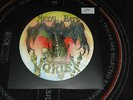 VORTEX - 2 x Picture-LP   (Metal Bats + Open The Gate)