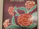 Todd Rundgren Something/Anything? 2xLP Vinyl W/Poster  1972 Bearsville Very Good