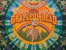 Grateful Dead Live Veneta OR vinyl near mint
