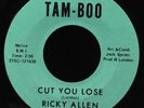 Ricky Allen-Cut You Lose/Soul Street-Tam-Boo 6720-NOS UNPLAYED FUNK SUPERB