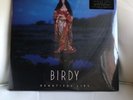 Birdy - Beautiful Lies 2xLP Black Vinyl, Urban Outfitters Exclusive (NEW/SEALED)