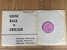 Going Back To Chicago Muddy Waters Python