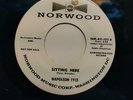 FANTASTIC DOO WOP DJ 1ST PRESS 45 