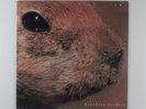 BUTTHOLE SURFERS Pepper CAPITOL SPRO-11230 10