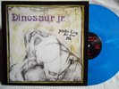DINOSAUR JR. - 