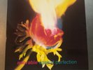 Adorable LP vinyl Against Perfection Re-Issue with vintage press photo