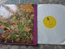 THE STONE ROSES SO YOUNG RARE LTD EDITION JAPAN 12