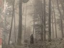 Taylor Swift FOLKLORE (IN THE TREES) (US) Gatefold NEW BROWN COLORED VINYL 2 LP