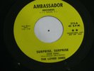GARAGE PSYCH 45 - THE LOVED ONES - SURPRISE SURPRISE - AMBASSADOR - PROMO