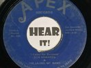 Obscure WV Bluegrass 45 DON SOWARDS & THE LAUREL MT BAND I Called Her APEX hear