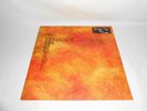 TRAIL OF DEAD - AND YOU WILL KNOW US BY THE TRAIL OF DEAD - Vinyl LP -INTERSCOPE