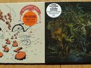 KING GIZZARD THE LIZARD WIZARD Gumboot Soup LP + Murder Of The Universe LP Color