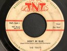 ROCKABILLY 45 - THE TRAITS - DON'T BE BLUE / ONE MORE TIME - TNT LABEL - HEAR