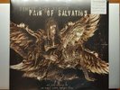 pain of salvation 