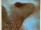 Meddle, by Pink Floyd UK 1971 Harvest