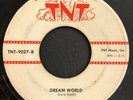 TEEN ROCKER 45 - THE DELATONES - LITTLE JEANIE / DREAM WORLD - TNT - HEAR LISTEN