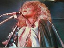 T.REX / MARC BOLAN / 12