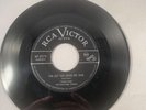 Lincoln Chase RCA Victor the Vulture Song I’ve Got You Under My Skin 45