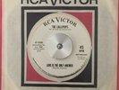 THE LOLLIPOPS Soul 45 LOVE IS THE ONLY ANSWER   Rca Victor (M-)