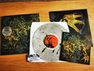 KING GIZZARD & THE LIZARD WIZARD: MURDER OF THE Universe - 180gm CLEAR W SMOKE