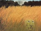 White Lion-Big Game (1LP Coloured) VINYL NEW